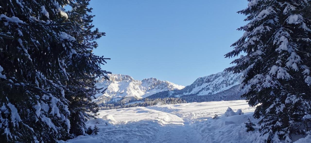 Appartamento Trilocale mansardato nel cuore della Val Di Fiemme Ziano di Fiemme Esterno foto