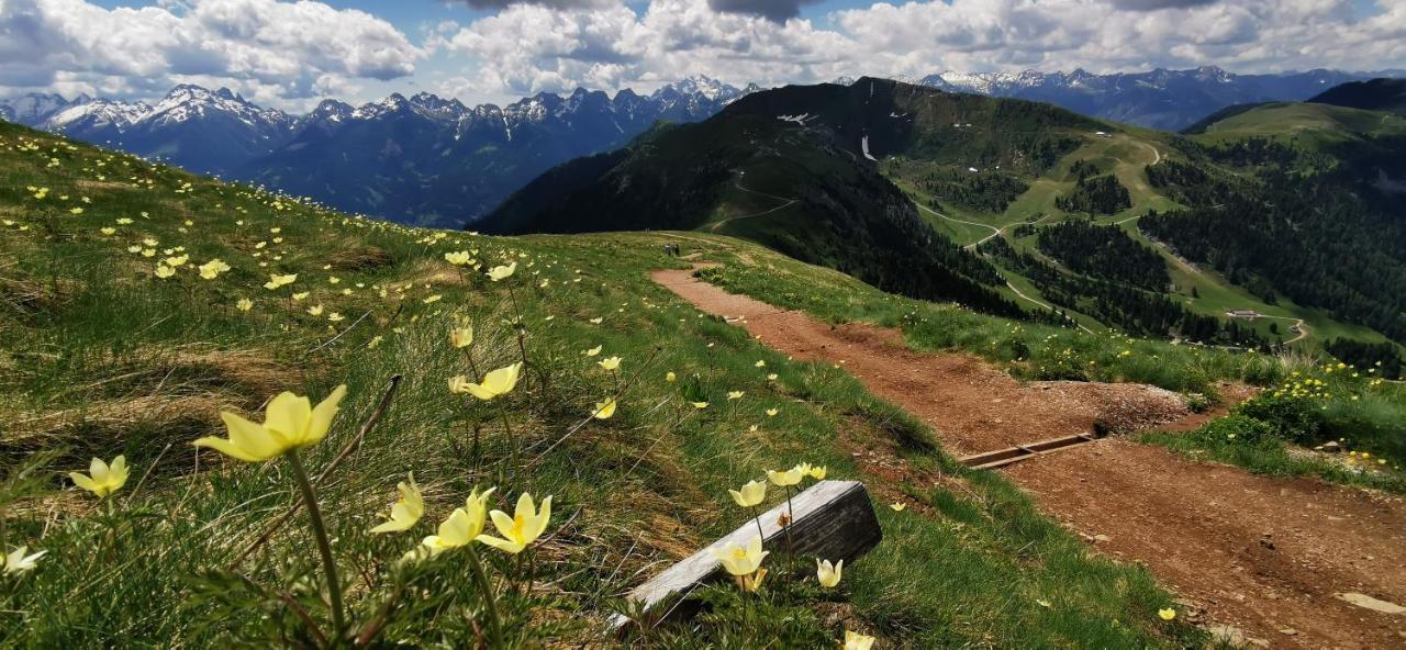 Appartamento Trilocale mansardato nel cuore della Val Di Fiemme Ziano di Fiemme Esterno foto